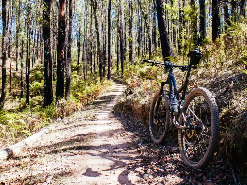 vtt corbieres fenouillèdes